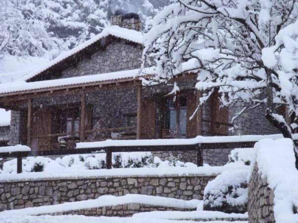 Villa Petrina Theohari Lekhouri Exterior foto